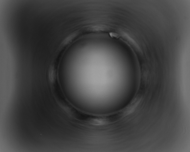 X0000100400164200806061324