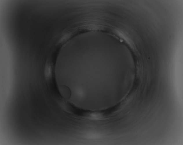 X0000100400165200806061324