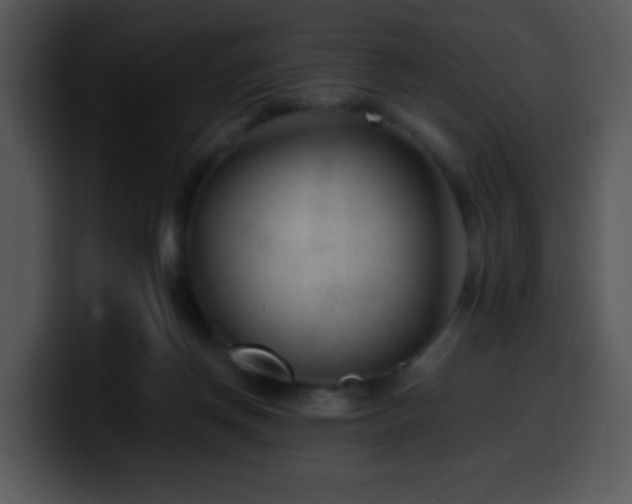 X0000100400166200806061324