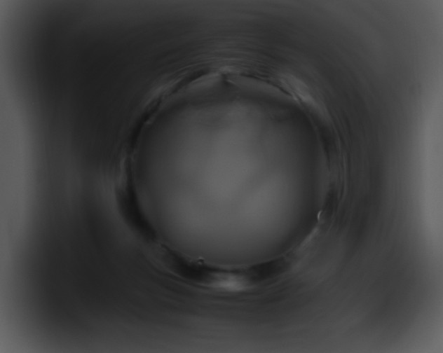 X0000100400167200806061324