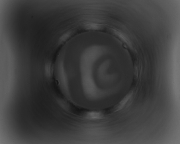 X0000100400168200806061324
