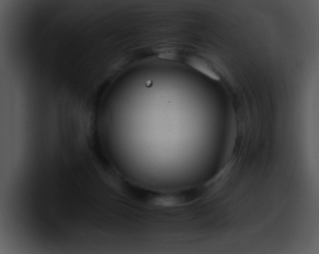 X0000100400171200806061324