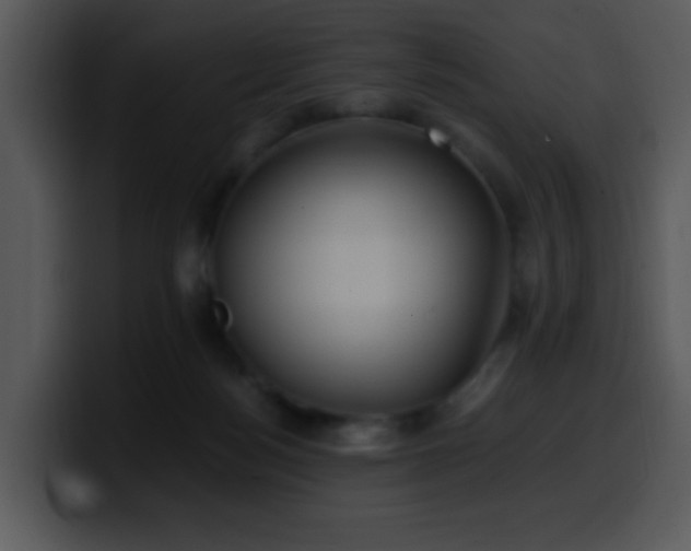X0000100400172200806061324