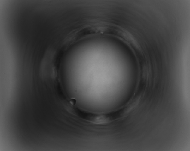 X0000100400173200806061324