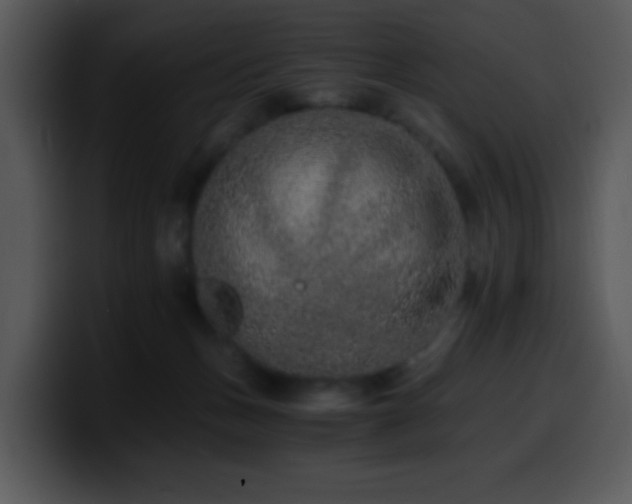 X0000100400175200806061324