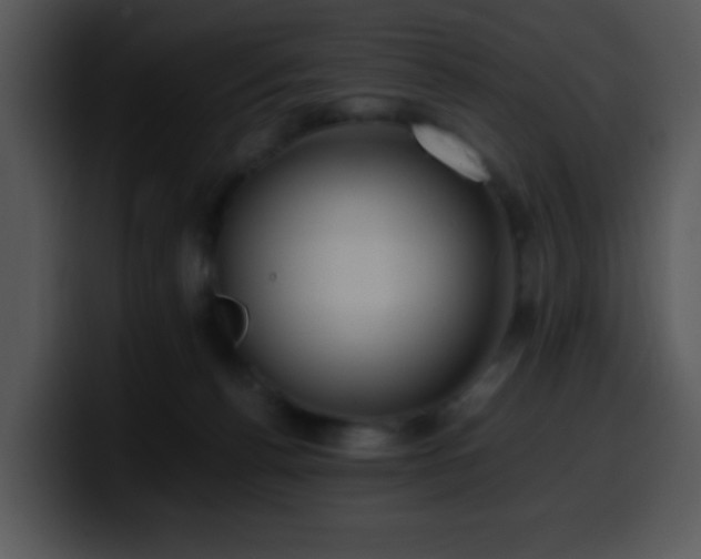 X0000100400176200806061324