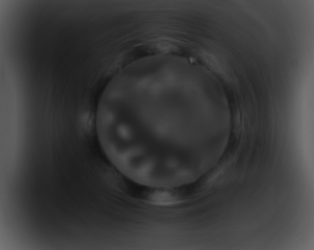 X0000100400177200806061324