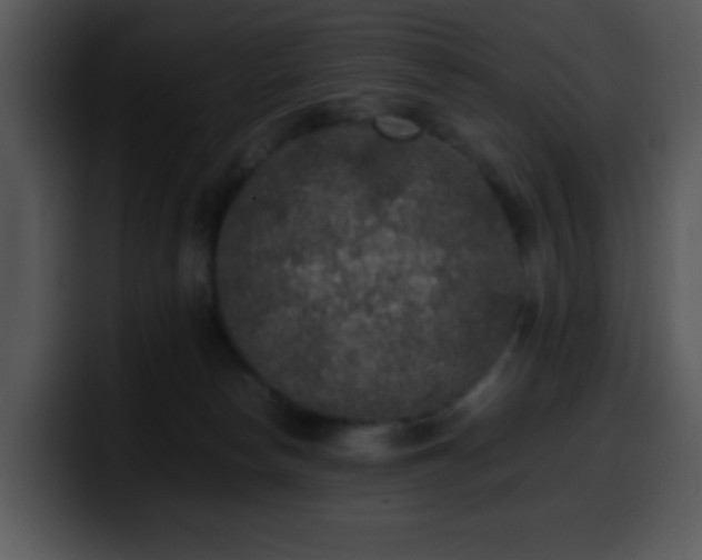 X0000100400178200806061324