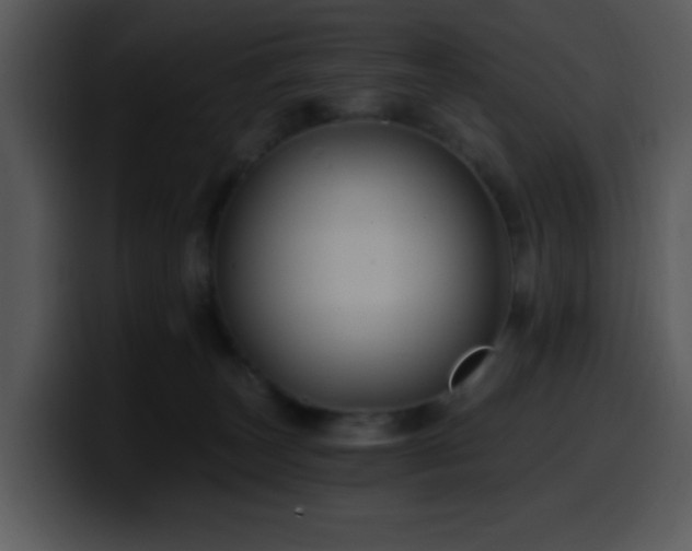 X0000100400179200806061324