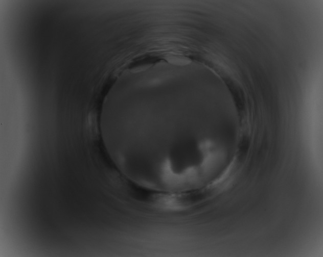 X0000100400182200806061324