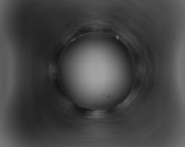 X0000100400184200806061324