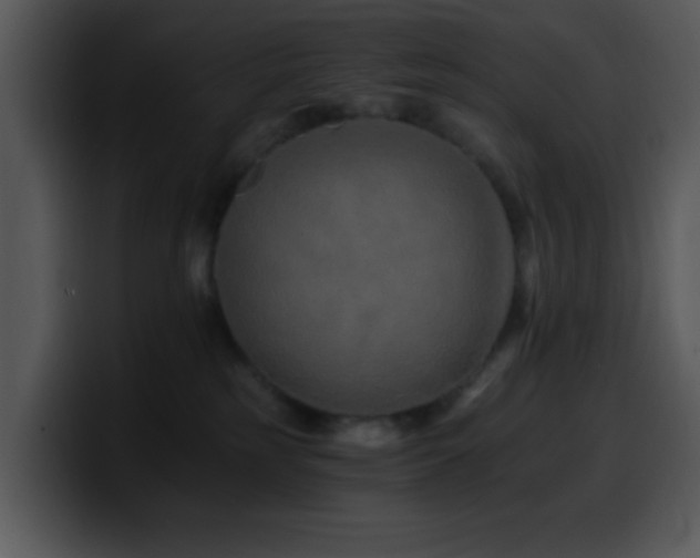 X0000100400185200806061324