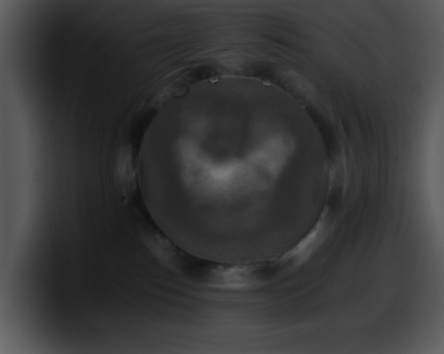 X0000100400186200806061324