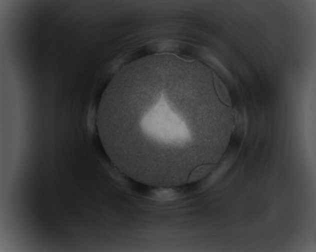 X0000100400189200806061324