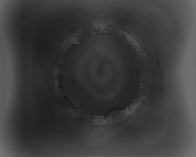 X0000100400192200806061324