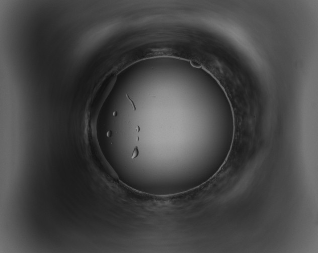 X0000100400194200806061323