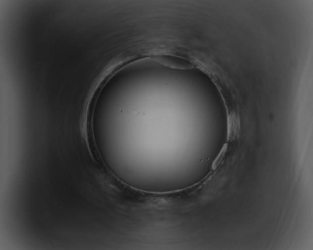 X0000100400195200806061323