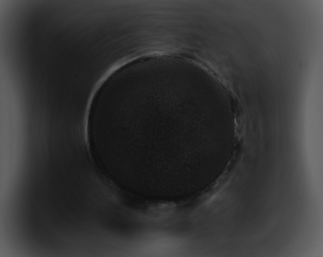 X0000100400196200806061323