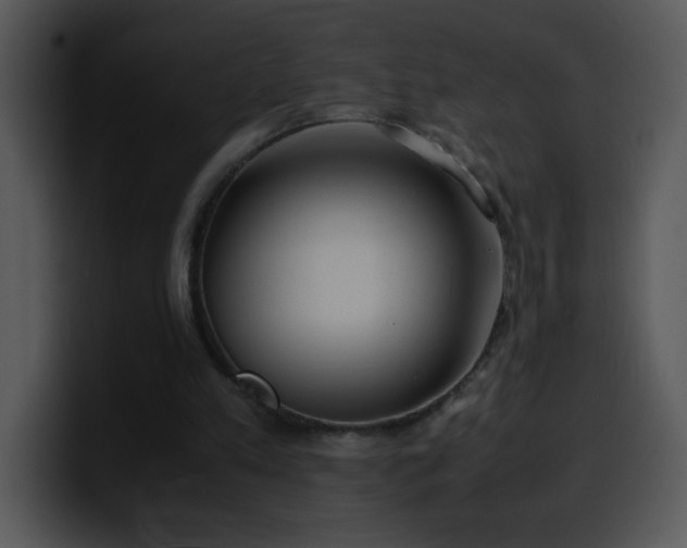 X0000100400197200806061323