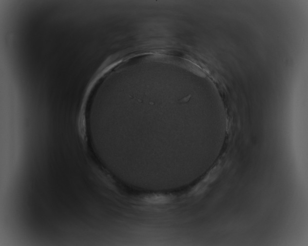 X0000100400198200806061323