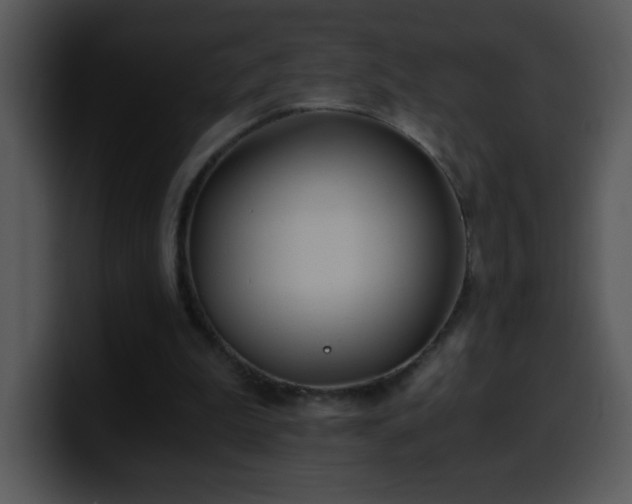 X0000100400199200806061323