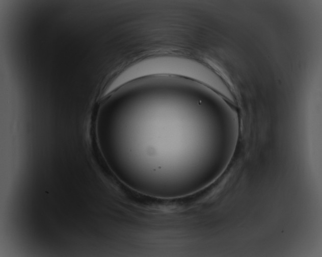 X0000100400201200806061323