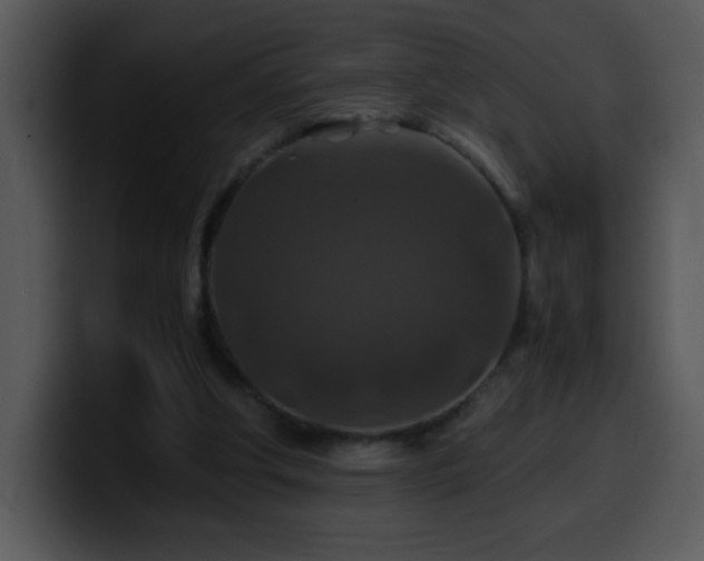 X0000100400202200806061323
