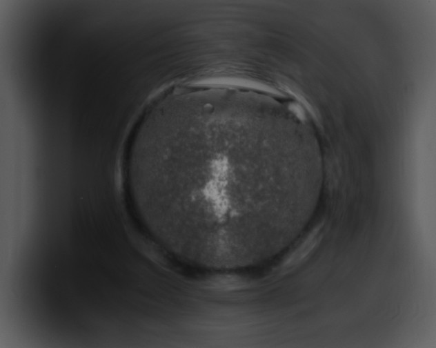 X0000100400203200806061323
