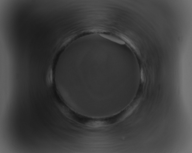 X0000100400205200806061323