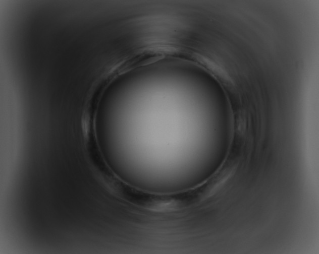 X0000100400206200806061323