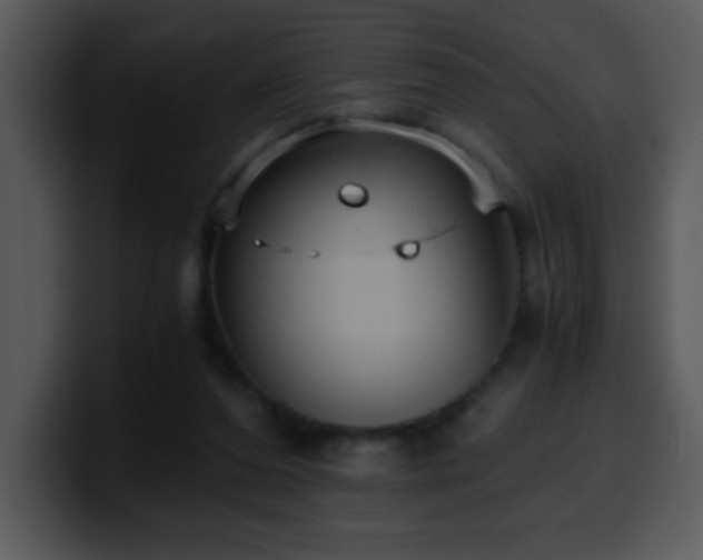 X0000100400208200806061323