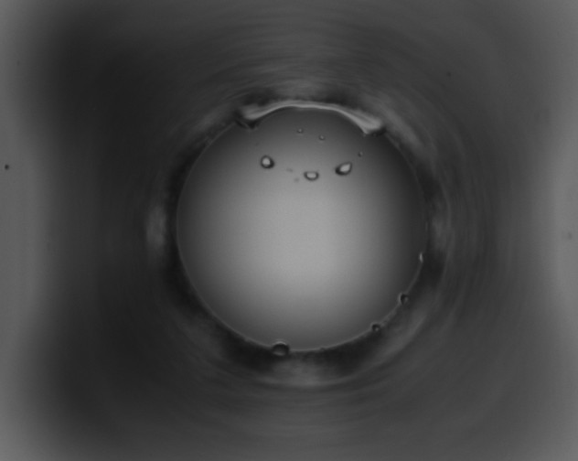X0000100400211200806061323
