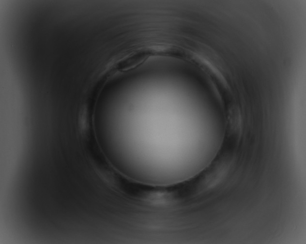 X0000100400212200806061323