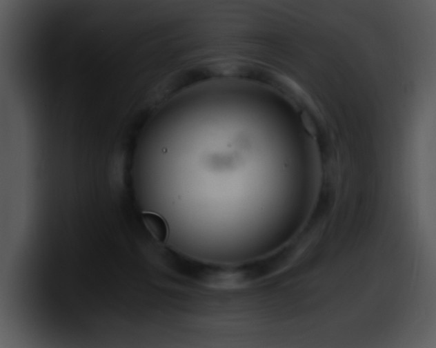 X0000100400217200806061323