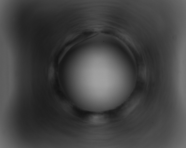 X0000100400220200806061323
