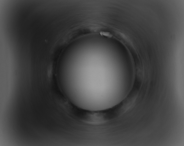 X0000100400221200806061323