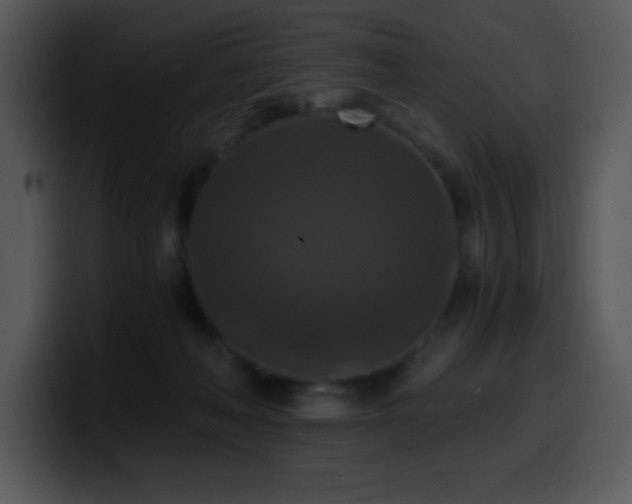 X0000100400222200806061323