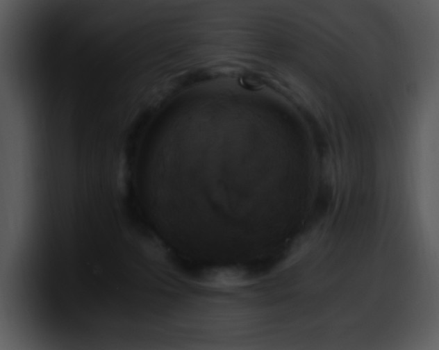 X0000100400223200806061323