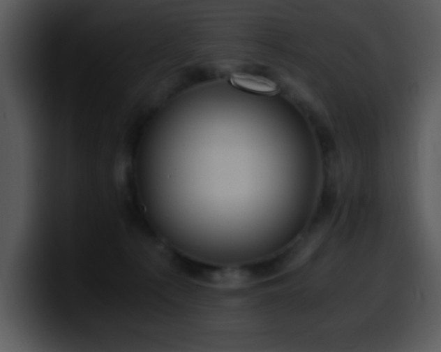 X0000100400225200806061323