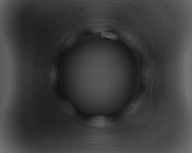 X0000100400227200806061323