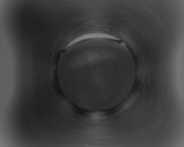 X0000100400229200806061323