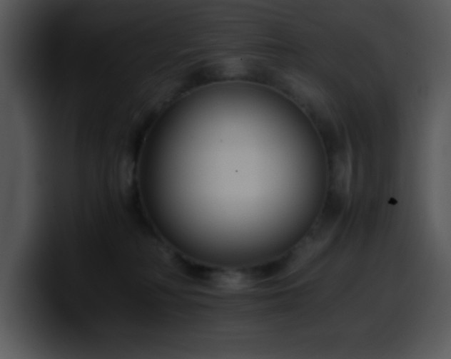 X0000100400230200806061323
