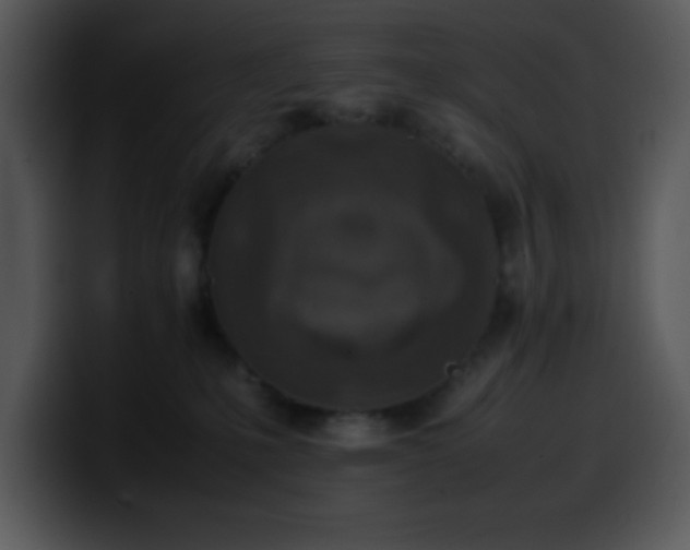 X0000100400231200806061323