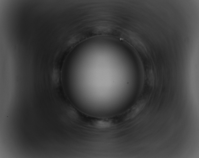 X0000100400232200806061323