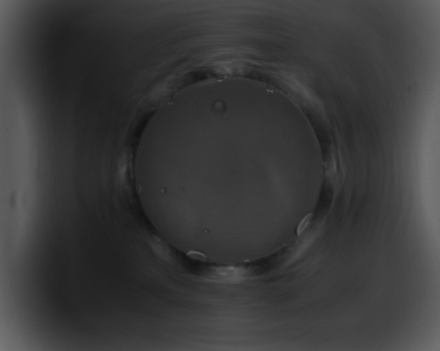 X0000100400233200806061323