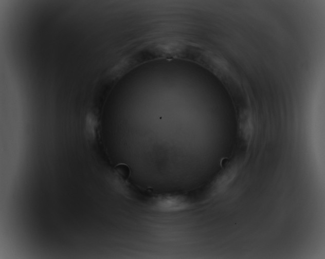 X0000100400235200806061323