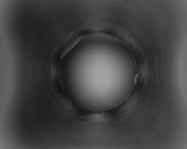 X0000100400236200806061323