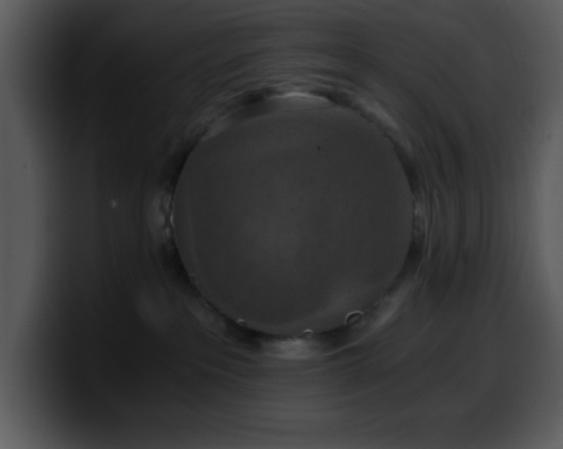X0000100400237200806061323