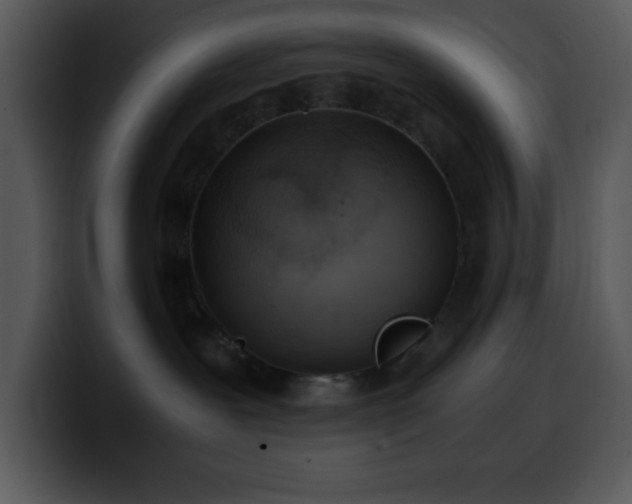X0000100400239200806061323