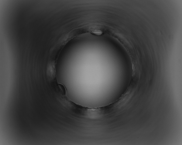 X0000100400240200806061323